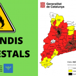 persones ocupades i llocs de treball al Maresme(51)